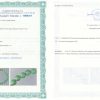 Certificat de autenticitate Chrysoprase